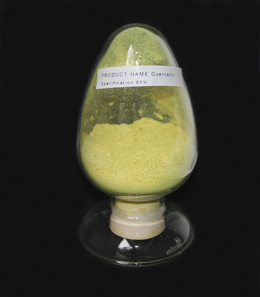 Quercetin 槲皮素