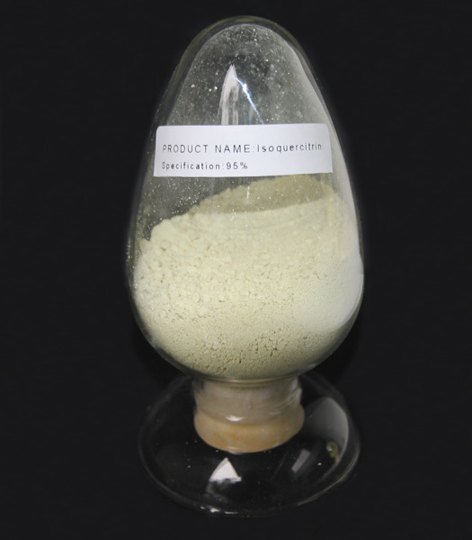 Isoquercitrin 異槲皮素