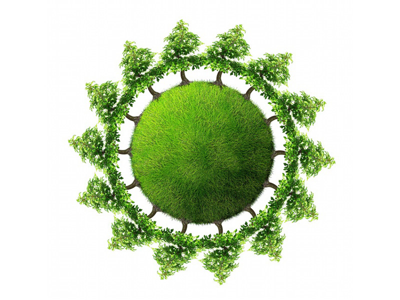植物(wù)提取物(wù)(植物(wù)活性成分(fēn))在化(huà)妝産品中的(de)應用(yòng)性