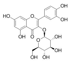 異槲皮素